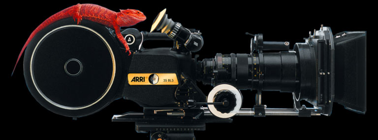 Red Lizard Films